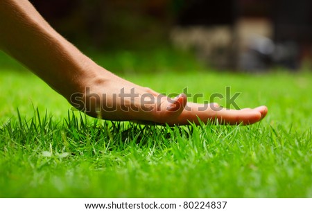 Hand above green fresh grass on a meadow. Shallow DOF