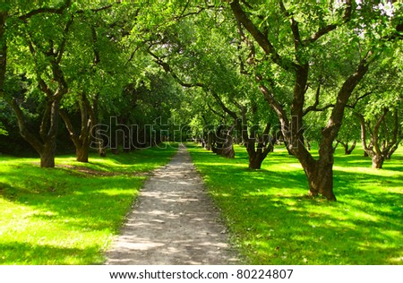 Gravel path in a park with green meadows and trees around
