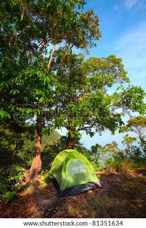 Green tent standing outdoor by big tree