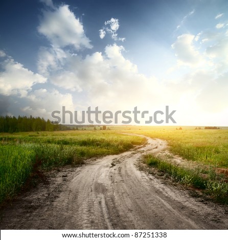 Rural road through fields with green herbs and blue sky with clouds