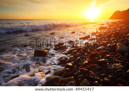 Sea coast with wet rocks and with red algae (Rhodophyta) at sunset light