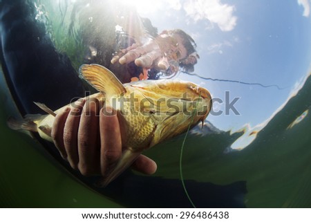 Underwater shot of the fisherman holding the fish