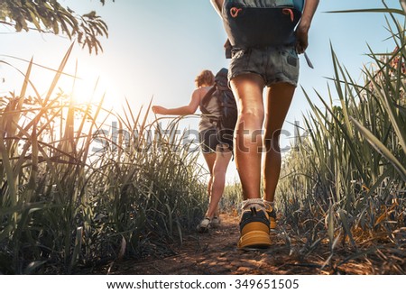 Hikers walking through the meadow with lush grass at sunny hot day