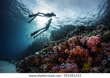 Two freedivers swimming underwater over vivid coral reef. Red Sea, Egypt