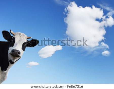 Smiling cow and blue sky with shaped clouds