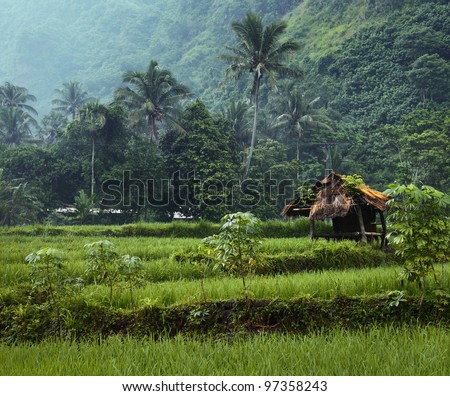 Rice fields and wooden building in mountain. Bali island
