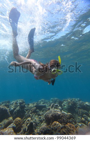 Young woman diving on a breath hold and enjoying a coral reef views in tropical clear sea