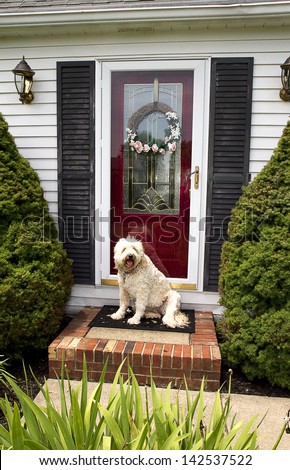Welcome home image of dog sitting on front step of home greeting