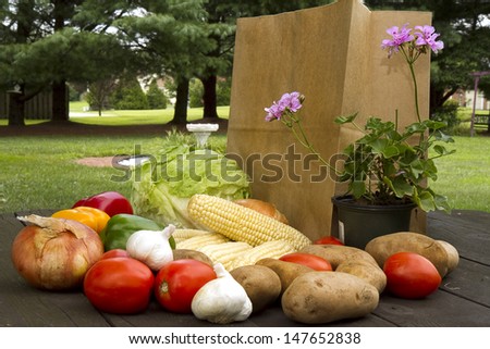 Grocery paper bag on picnic table with assorted vegetables laying around it.