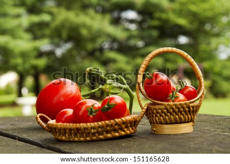 Large and small cherry tomatoes sitting on picnic table
