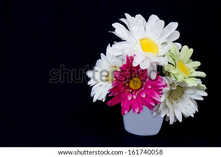 Large oversized daisies (Faux) in planter against black background