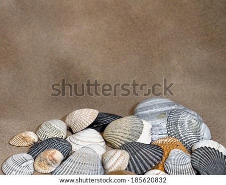 Collection of baby sea-shells piled against sandy brown background