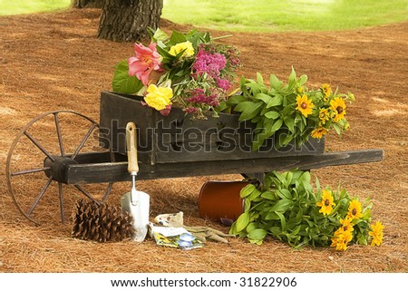Wheelbarrow filled with cut flowers and flowers waiting to be planted.  Working in the garden