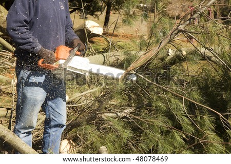 Tree\'s down and being cut-up with chain saw with chips flying everywhere