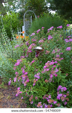 Cottage garden filled with flowers with trellis and picket fence in back