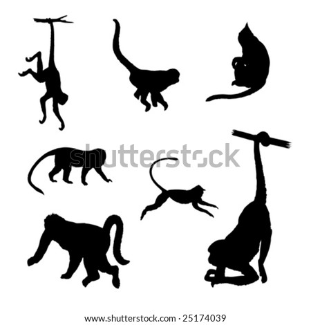 Vector Illustration Of Monkey - 25174039 : Shutterstock