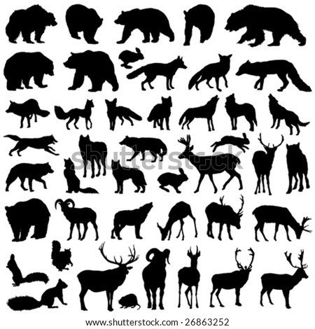 Animal Silhouette