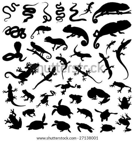 collection of vector reptiles and amphibians