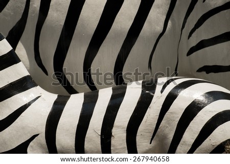 Texture of zebra model