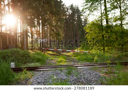 old  rail crossing in forrest