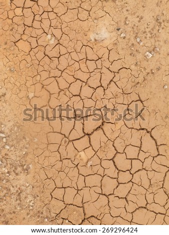 Dry cracked ground on a hot day.