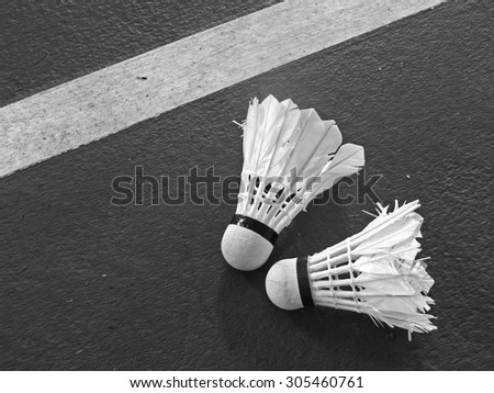 Shuttlecocks for play badminton on floor of court, monochrome style