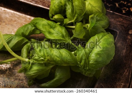 A bunch of fresh basil leaves on a vintage metal tray