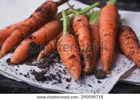 A bunch of freshly diggen organic carrots in the vintage white napkin, black background