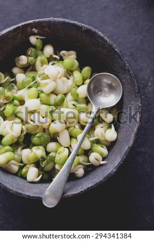 Variety of sprouts: Moyashi, soya and mungo bean sprouts