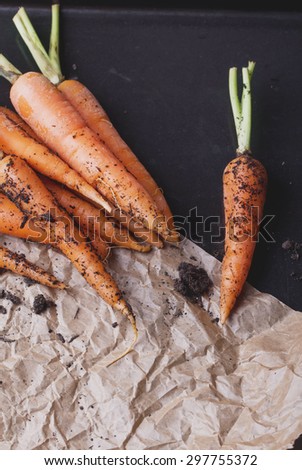 A bunch of freshly dug organic carrots in the vintage white napkin, black background