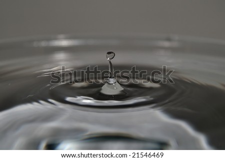 Close up of a droplet of water, fractions of a second after impacting a body of water