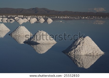 Salt cones on the Salt lake
