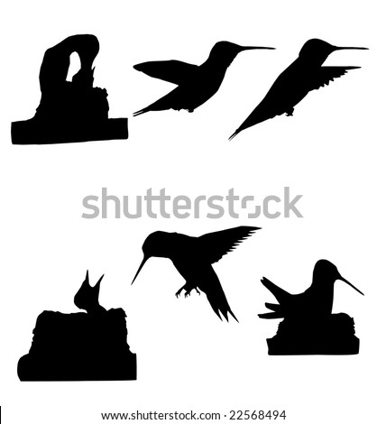 Good Logo Design on Stock Vector Real Hummingbird Silhouettes Great For Design