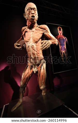 KRAKOW, POLAND - MARCH 11, 2013: The Human Body Exhibition  the exhibition of human bodies in old industrial halls Miraculum at the street  Zablocie. Cracow. Poland