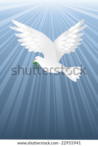 doves of peace. doves of peace flying in