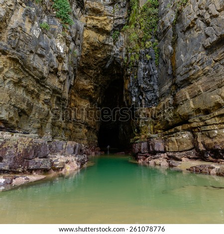Cathedral Caves in Catlins, South Otago, New Zealand\'s South Island.