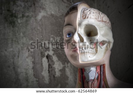 The head of an educational anatomy body, shot taken at an abandoned hospital