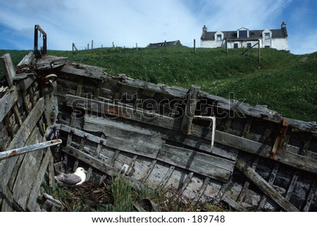 Old boat in backyard with seabird breeding and view of the house