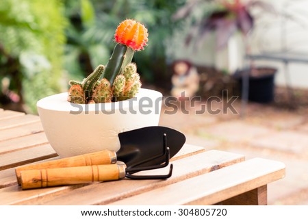 Shovel and gardening fork with cactus pot on wooden table in garden - vintage style effect picture