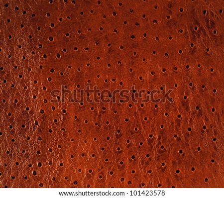 Antique Leather Book Cover
