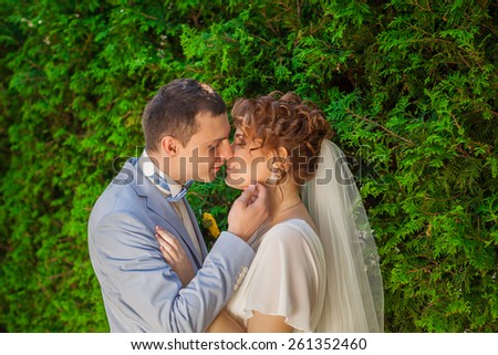 The groom kisses his bride\
while her eyes closed.Portrait of the groom in the park on their wedding day.Svadba- beautiful bride and groom smiling at each other holding hands