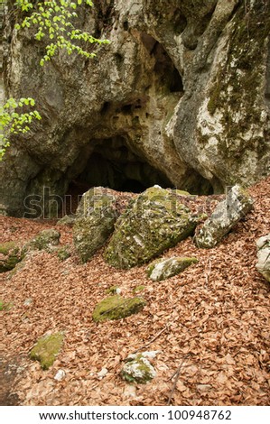 Entrance to a dark cavern in a deep forest