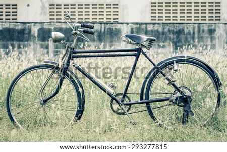 Vintage bicycles on grass garden, cross process of mint and orange color retro tone