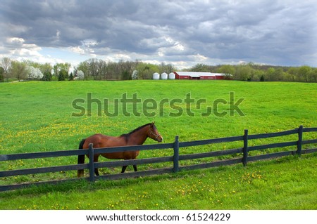 Photograph of the brilliant green of a spring pasture, with a horse at the fence and the stables in the back.  Beautiful sky enhances the green of the pasture.