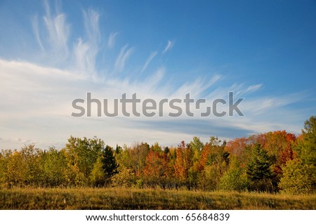 Photograph of a brilliant autumn landscape with beautiful colors and an impressive sky.