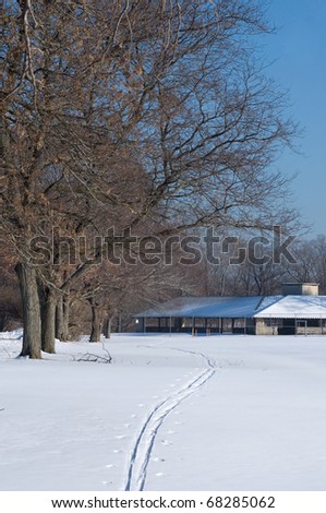 Photograph of a wintry landscape, with ample white snow and the tracks of a cross country skier following a treeline.