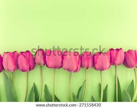 Row of tulips on green background with space for message. Mother\'s Day background.