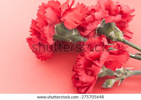 Three flower, red carnations on red background. Holiday background. Greeting card.