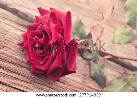 Red roses on rustic wooden background. Mother\'s Day background. Selective focus.