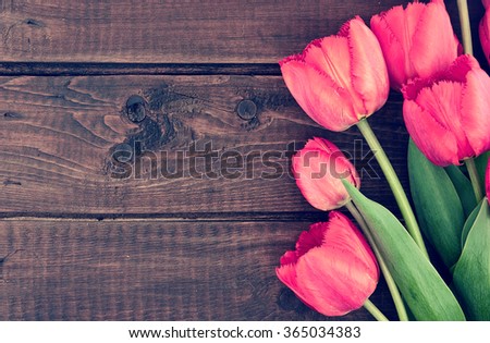 Bouquet of red tulips on a wooden background. Spring flowers. Mother\'s Day background. Top view
